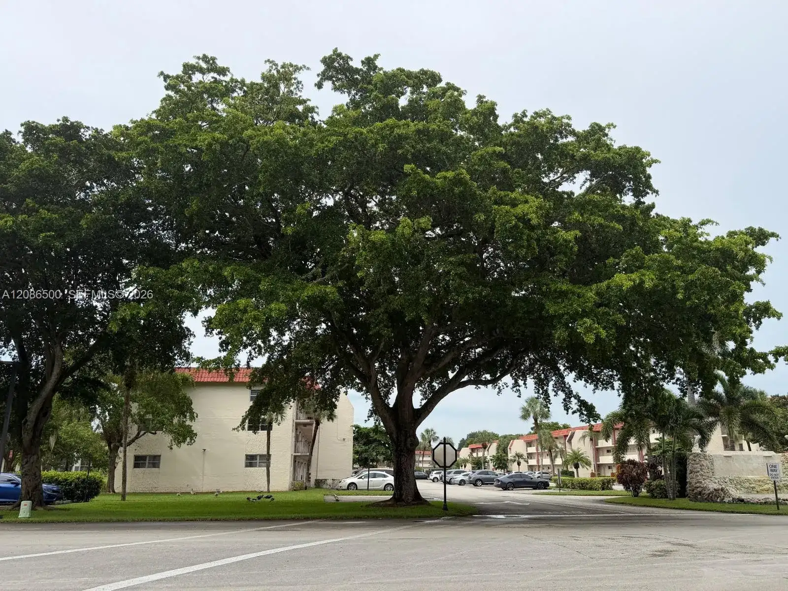 400 S Hollybrook Dr # 306, Pembroke Pines FL 33025 photo 4