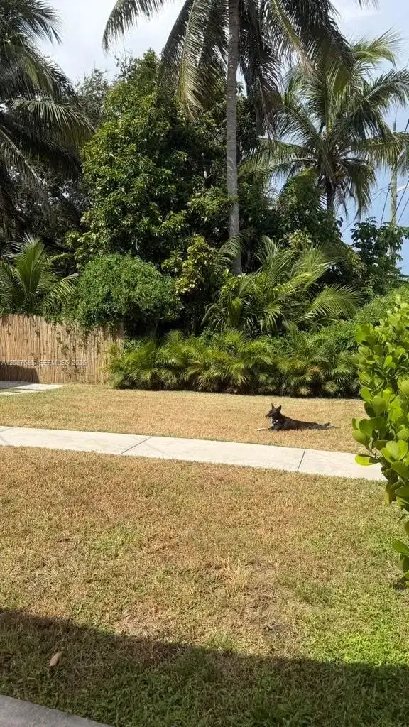 122 NW 51st St # 122, Miami FL 33127 photo 5