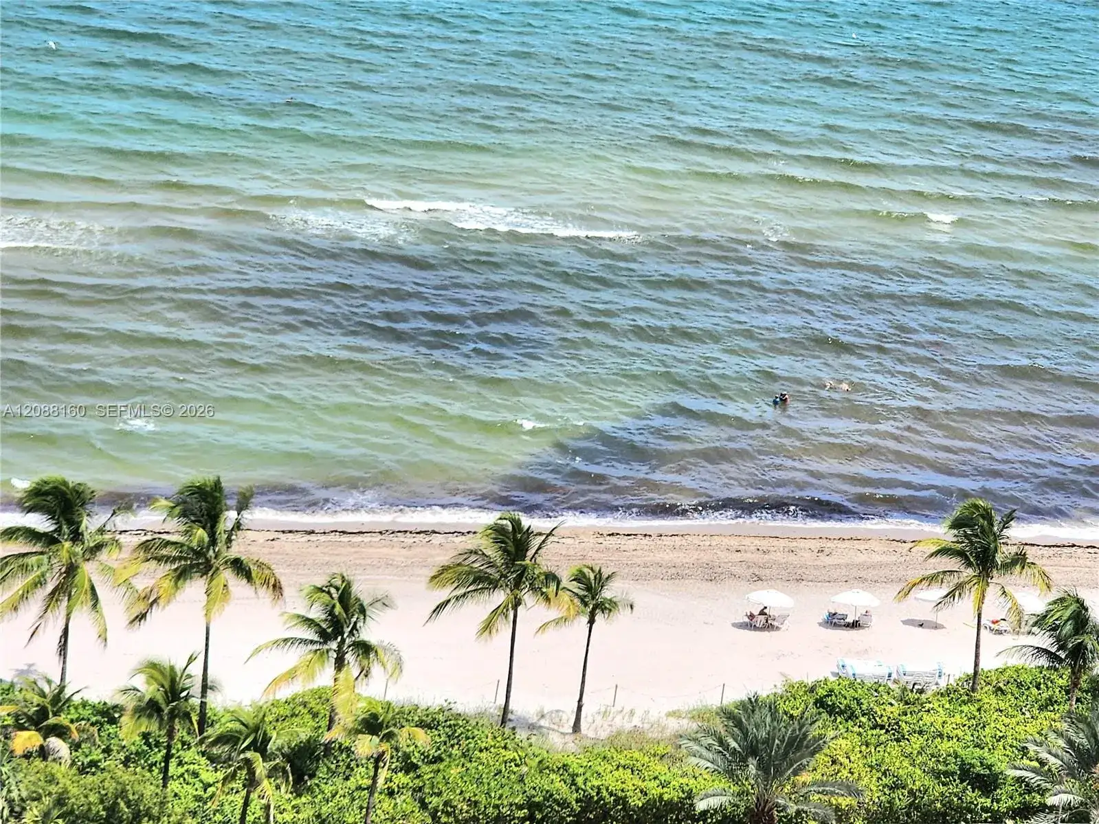 2030 S Ocean Dr # 1710, Hallandale Beach FL 33009 photo 4