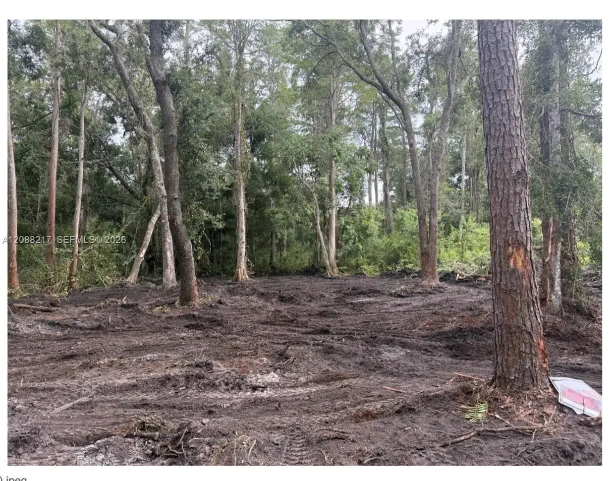 3 Anno Street, Other City - In The State Of Florida FL 33625
