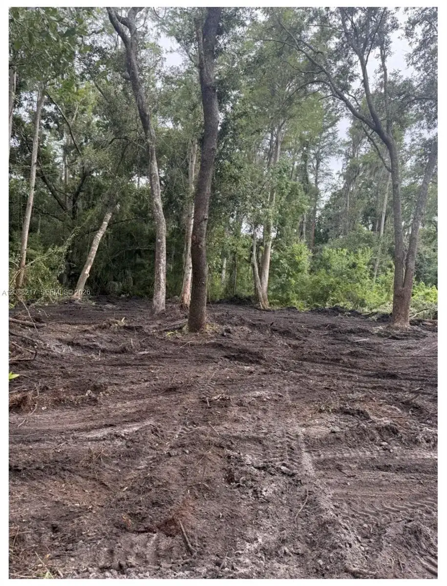 3 Anno Street, Other City - In The State Of Florida FL 33625 photo 3