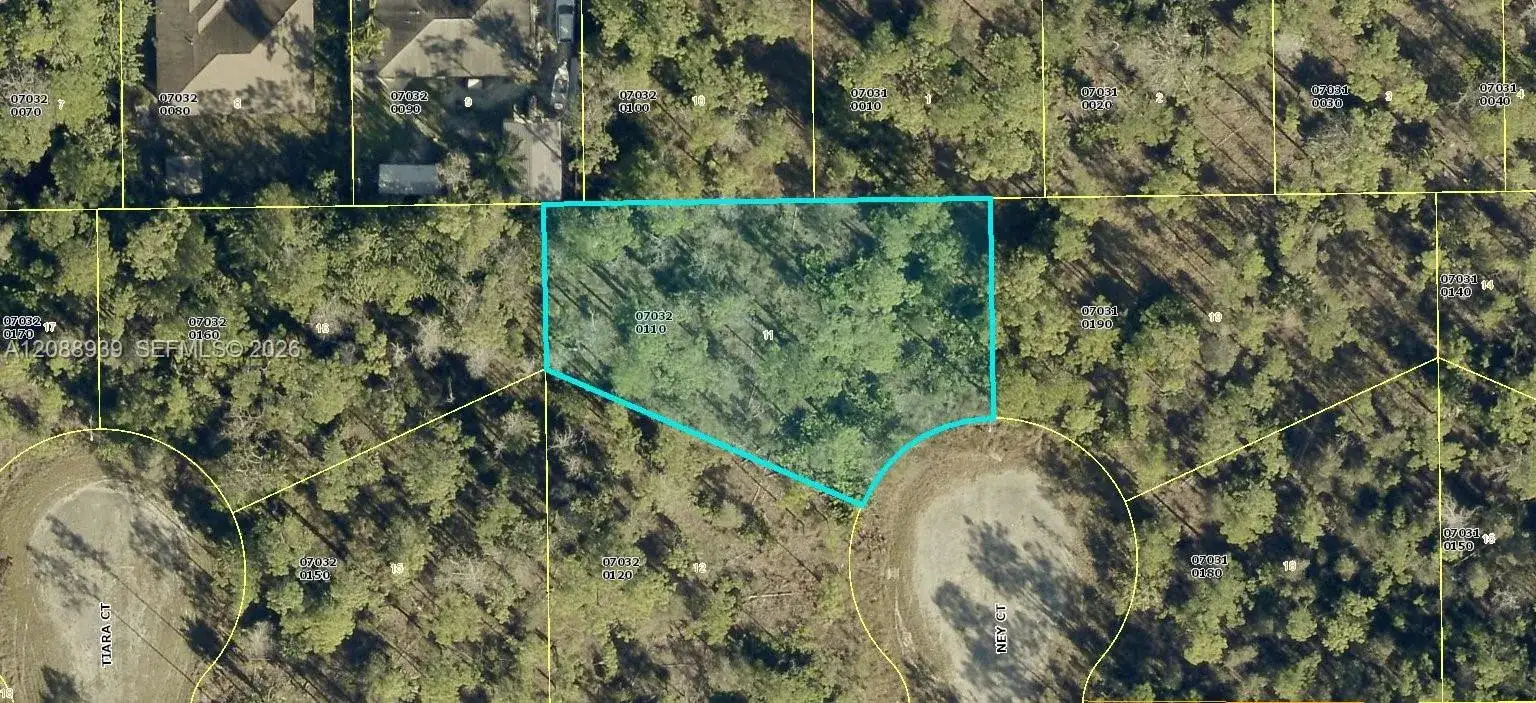 1905 Ney Ct., Lehigh Acres FL 33972