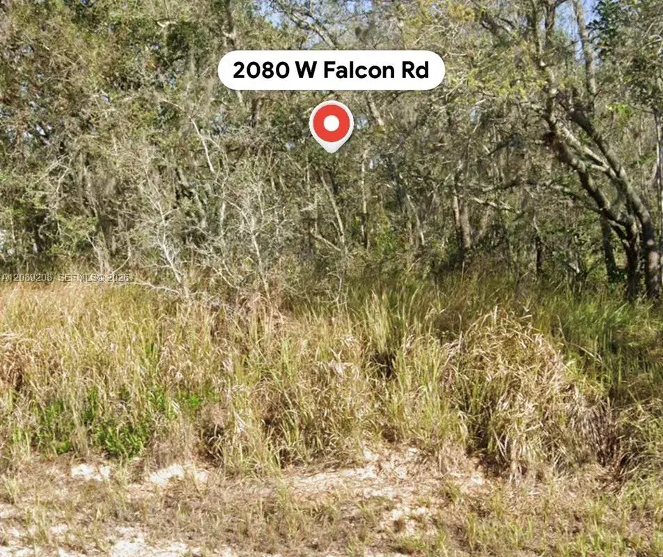 2080 W Falcon Rd, Avon Park FL 33825
