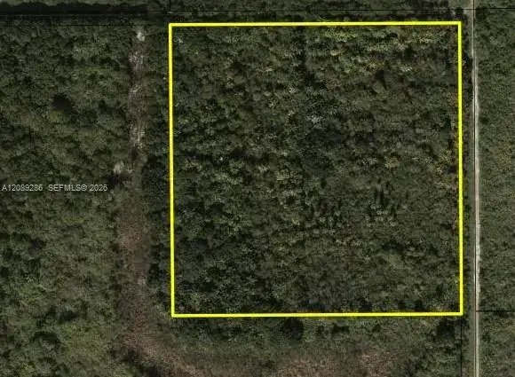 384, Homestead FL 33034 photo 2