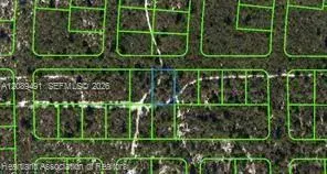 437 Souvenir Lane, Lake Placid FL 33852