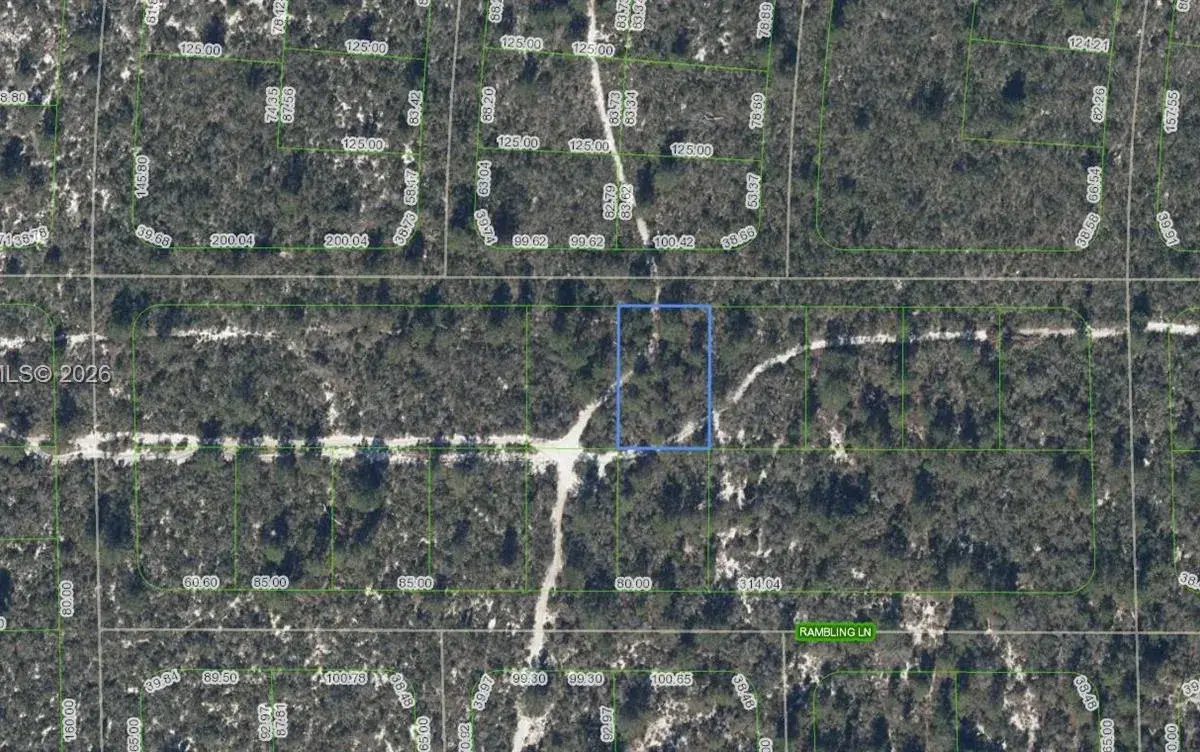 437 Souvenir Lane, Lake Placid FL 33852