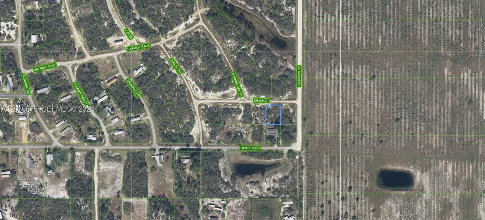 509 Drama Court, Lake Placid FL 33852 photo 5