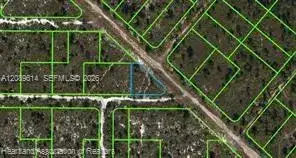 532 Nichele Boulevard, Lake Placid FL 33852 photo 3