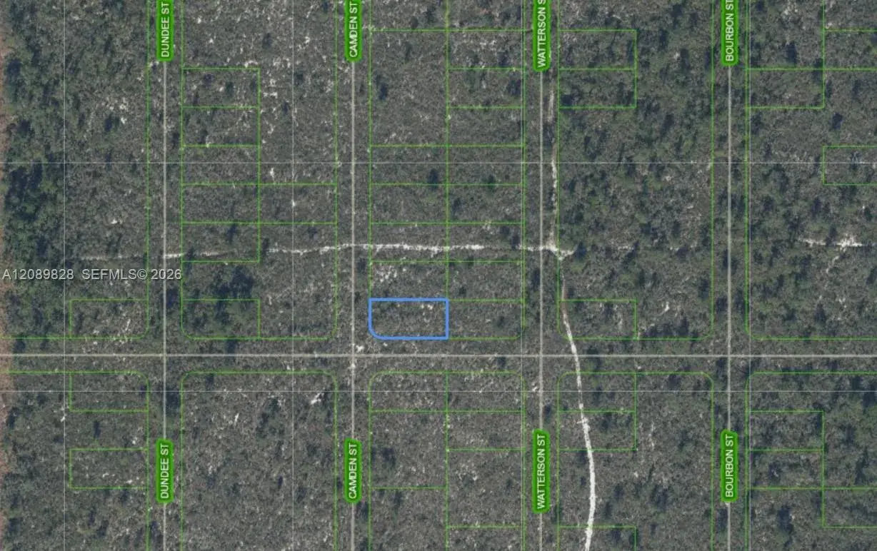 701 CAMDEN ST, Lake Placid FL 33852