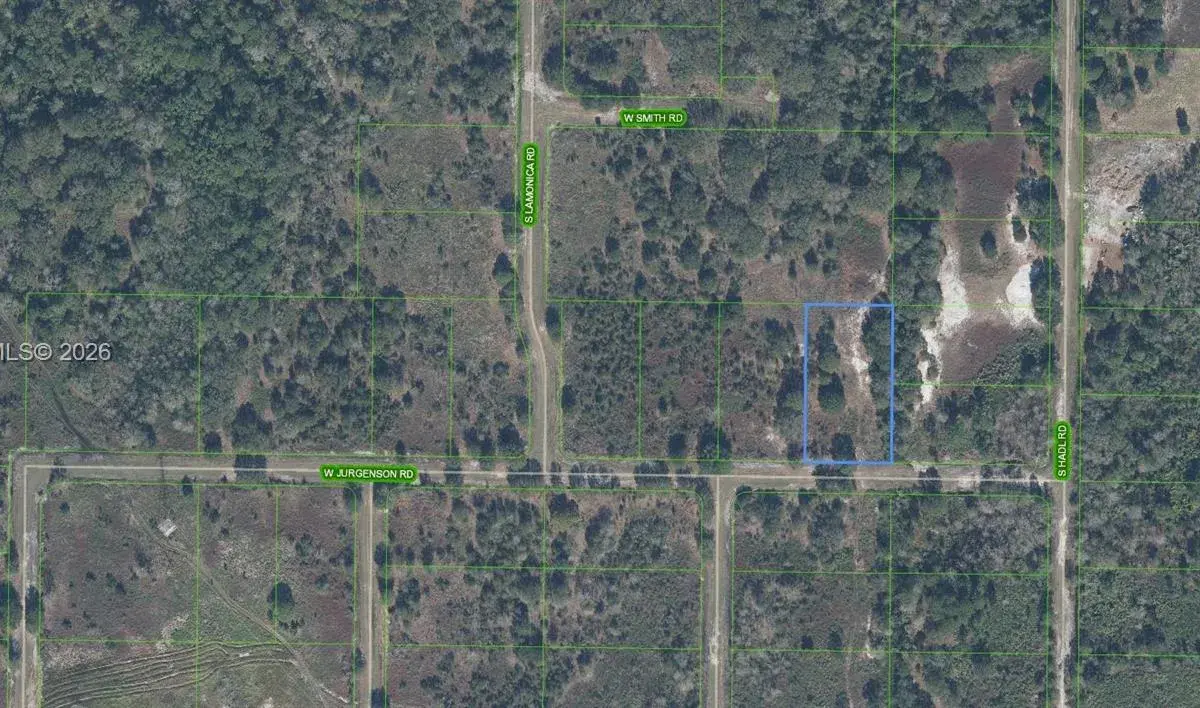 3160 W Jurgenson Road, Avon Park FL 33825