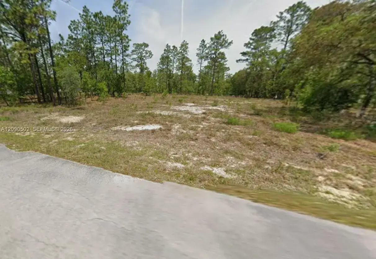 Yyy NW Geranium Avenue, Other City - In The State Of Florida FL 34431