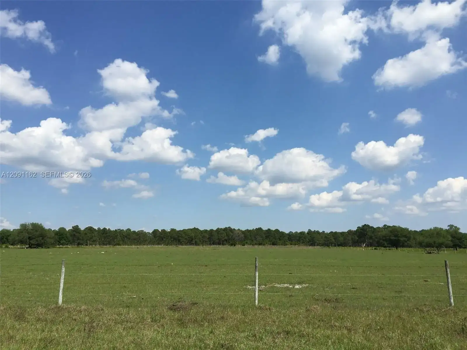 315 DETJENS DAIRY RD, Other City - In The State Of Florida FL 33960 photo 4