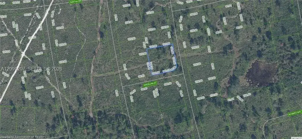 4703 San Pedro Dr, Sebring FL 33872