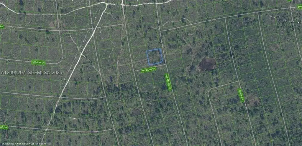 4703 San Pedro Dr, Sebring FL 33872 photo 2