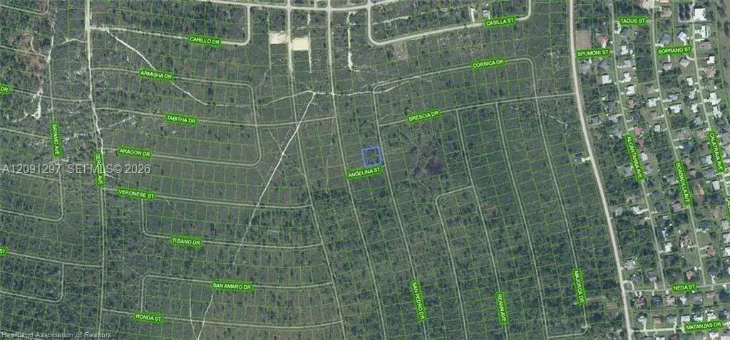 4703 San Pedro Dr, Sebring FL 33872 photo 3