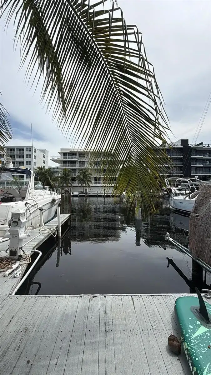 308 Hendricks Isle, Fort Lauderdale FL 33301 photo 4