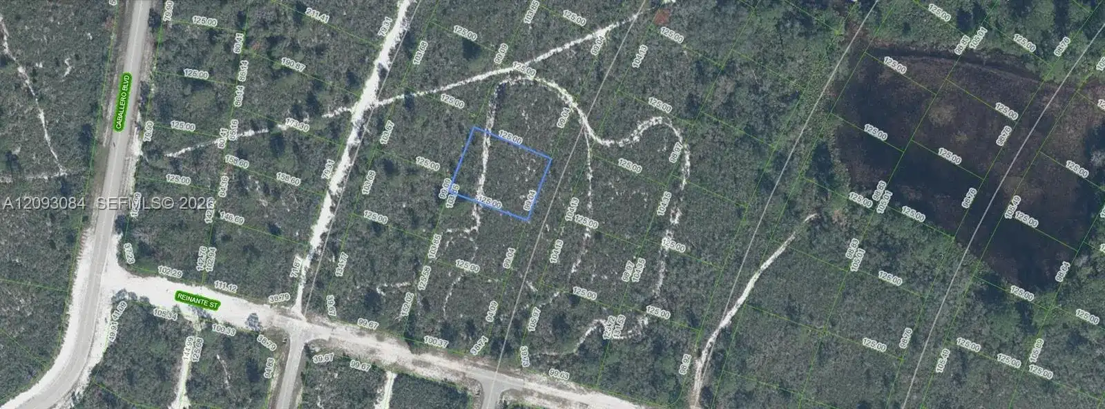 6658 Cotorro Drive, Sebring FL 33872