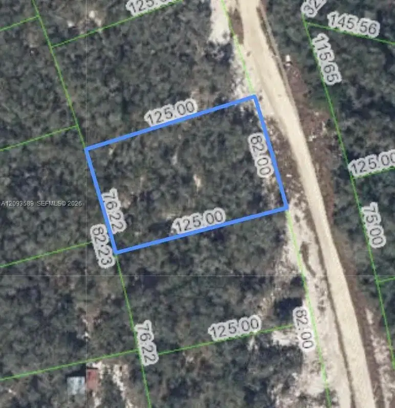 210 Sunway Dr, Lake Placid FL 33852 photo 3