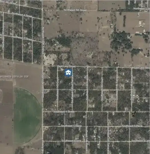 XXX 142 Terrace, Williston FL 32696 photo 3