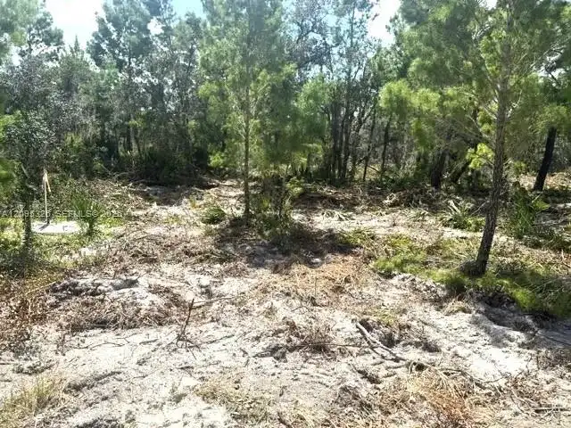 206 Oriole Avenue, Sebring FL 33870
