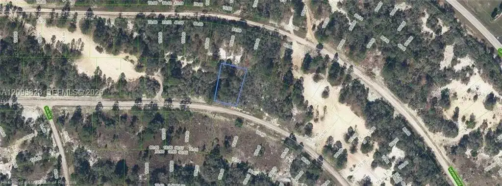 408 Sunshine Ave, Lake Placid FL 33852