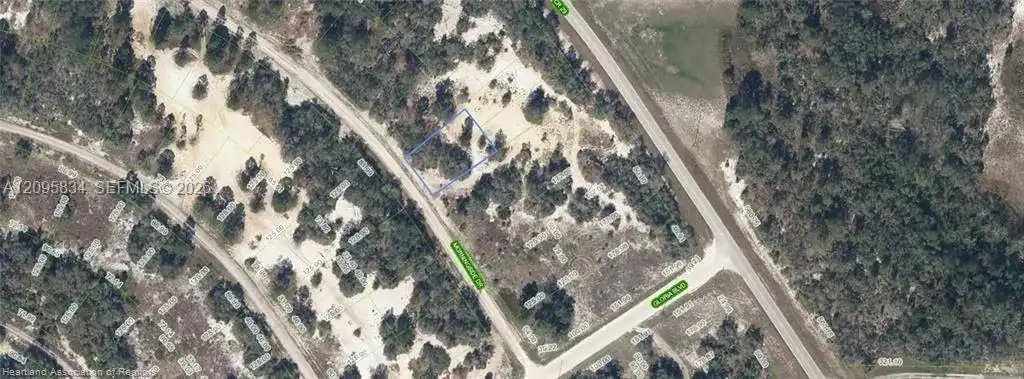 488 Morningside Drive, Lake Placid FL 33852