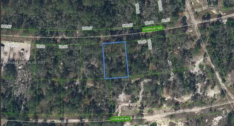 365 Stardust Avenue, Lake Placid FL 33852