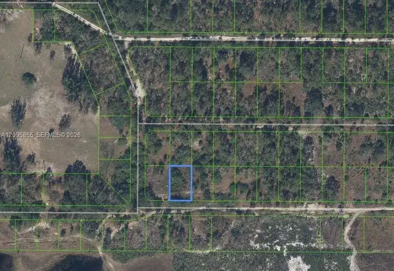 208 Claverton Drive, Lake Placid FL 33852