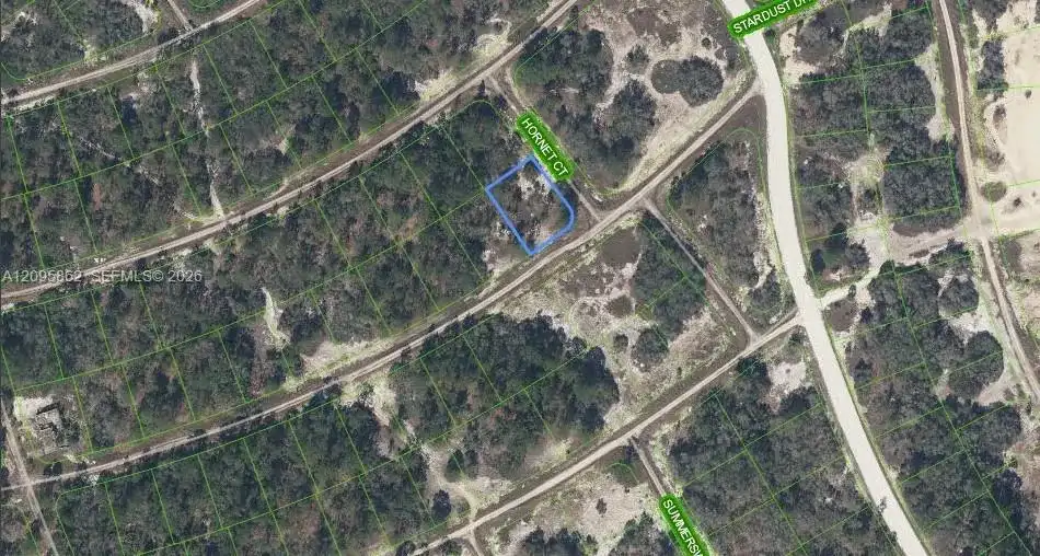 408 Hornet Court, Lake Placid FL 33852