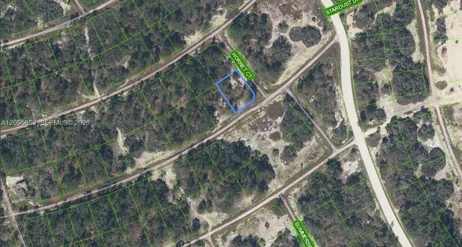 408 Hornet Court, Lake Placid FL 33852