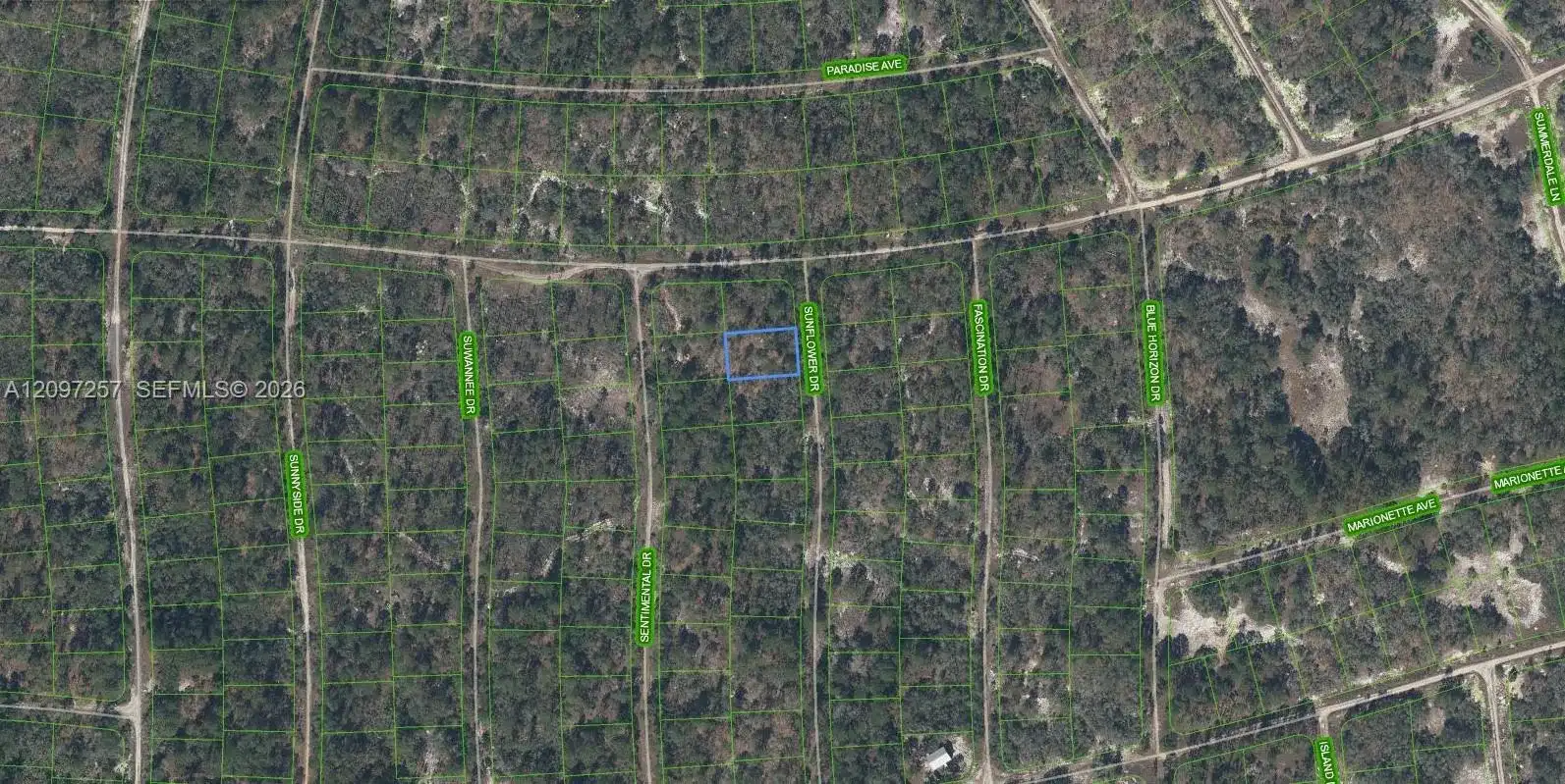 272 Sun Flower Dr, Lake Placid FL 33852