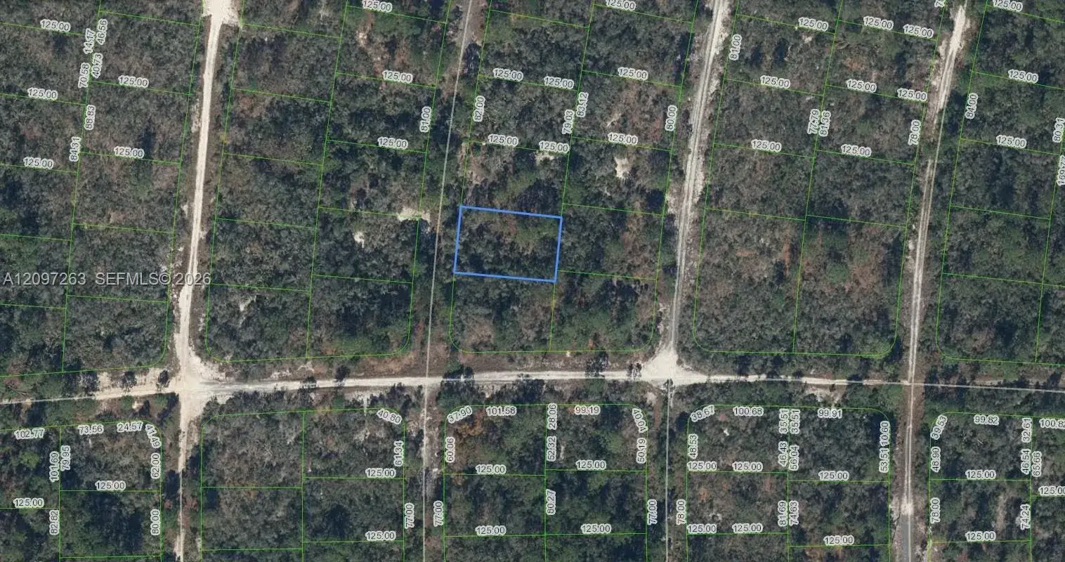 305 Blue Heaven Drive, Lake Placid FL 33852