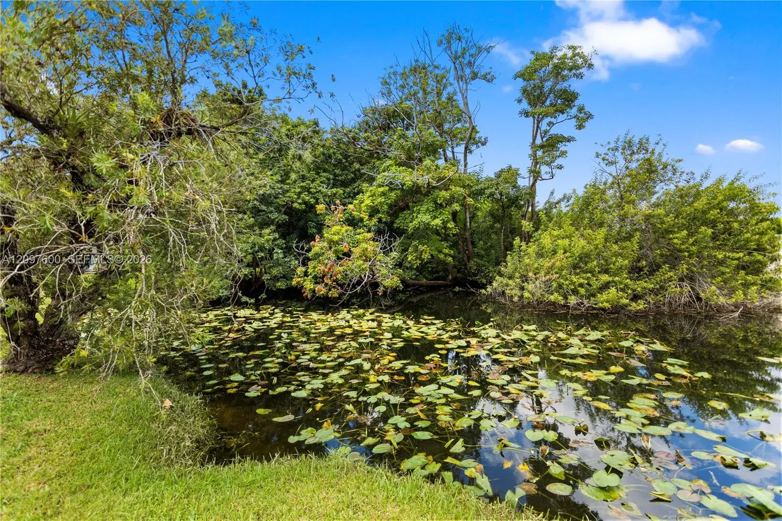 4801 SW 59th Ter, Davie FL 33314