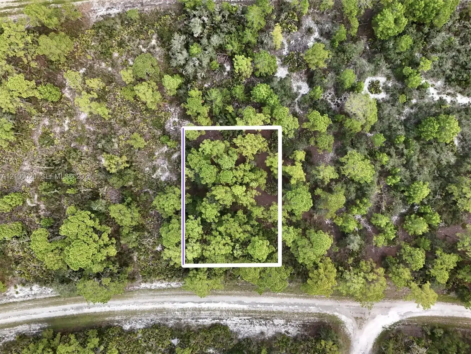 1137 REDBIRD ST, Lake Placid FL 33852