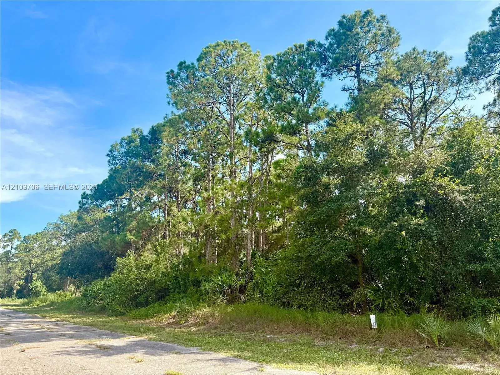 106 ROSEMONT PL, La Belle FL 33935
