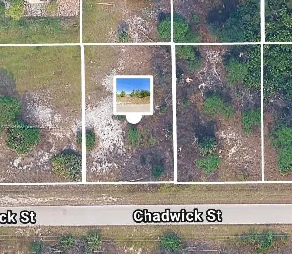 Land/Boat Docks for sale at 1043 Chadwick st, Lehigh Acres FL 33974