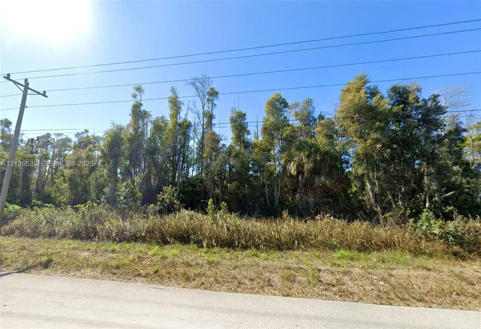 908 Anaconda Ave, Lehigh Acres FL 33974