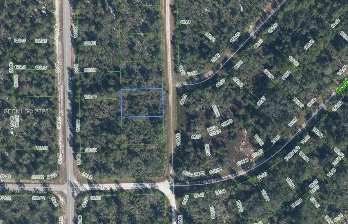 3292 Gossamer Avenue, Lake Placid FL 33852