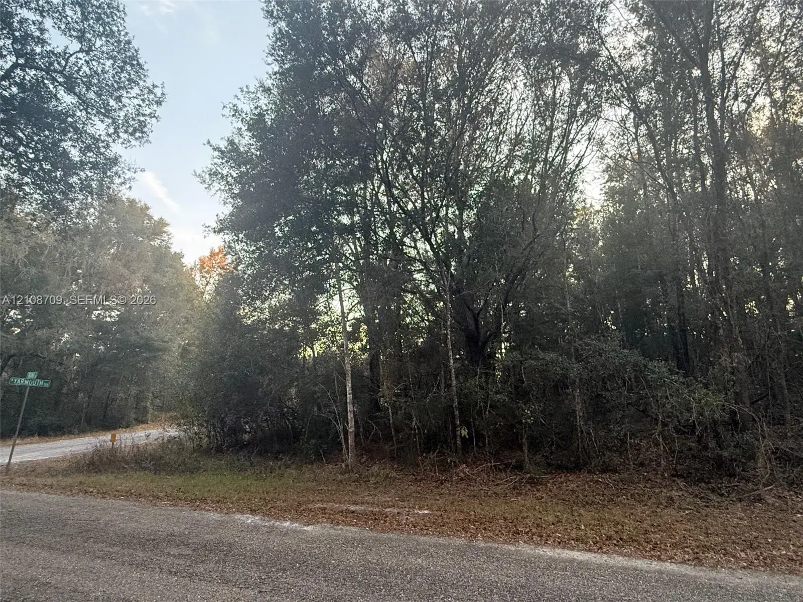 684 E NOAH LN, Citrus Springs FL 34434