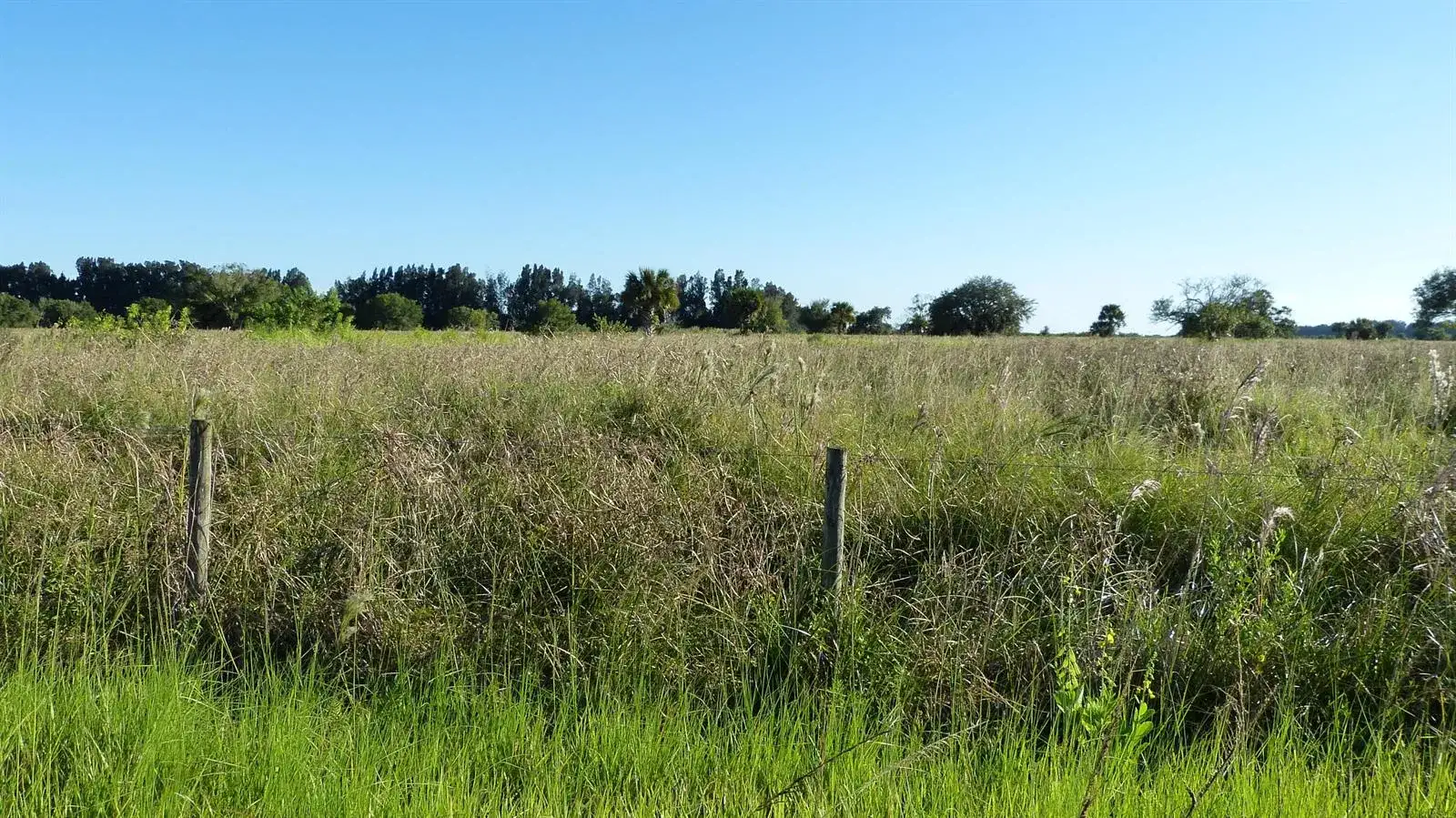Tbd 2 Pineapple Lane, Fort Pierce FL 34945 photo 3