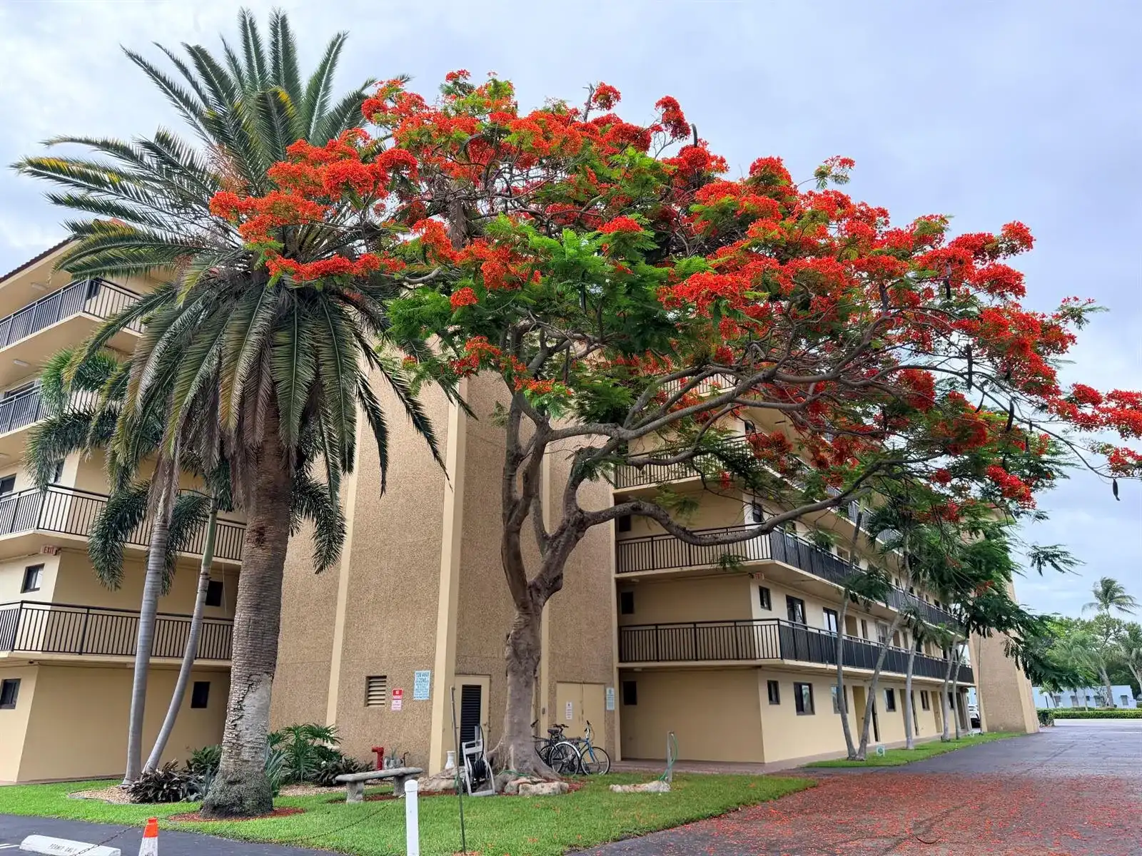 2601 NE 14th Street # 340, Pompano Beach FL 33062