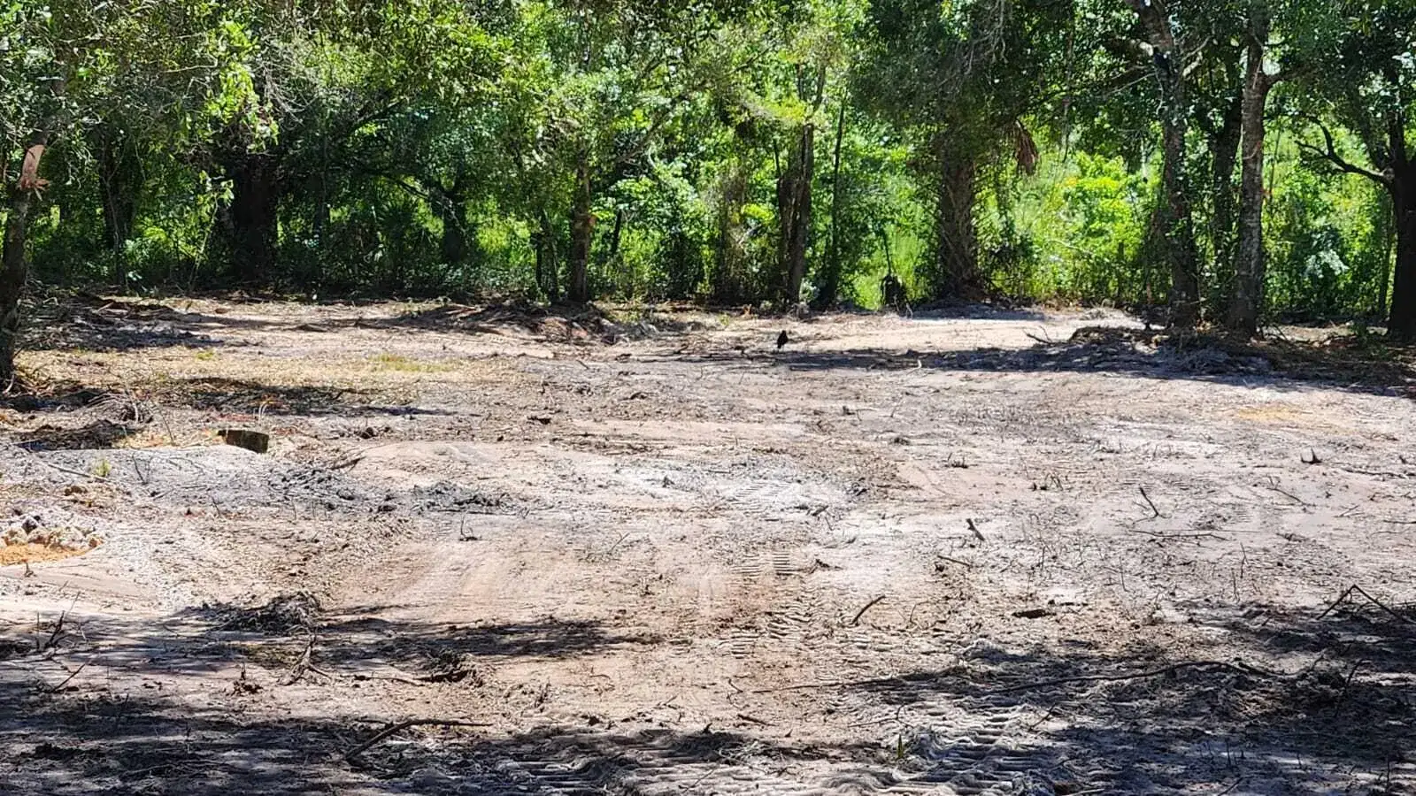18884 NW 282nd Street, Okeechobee FL 34972 photo 5