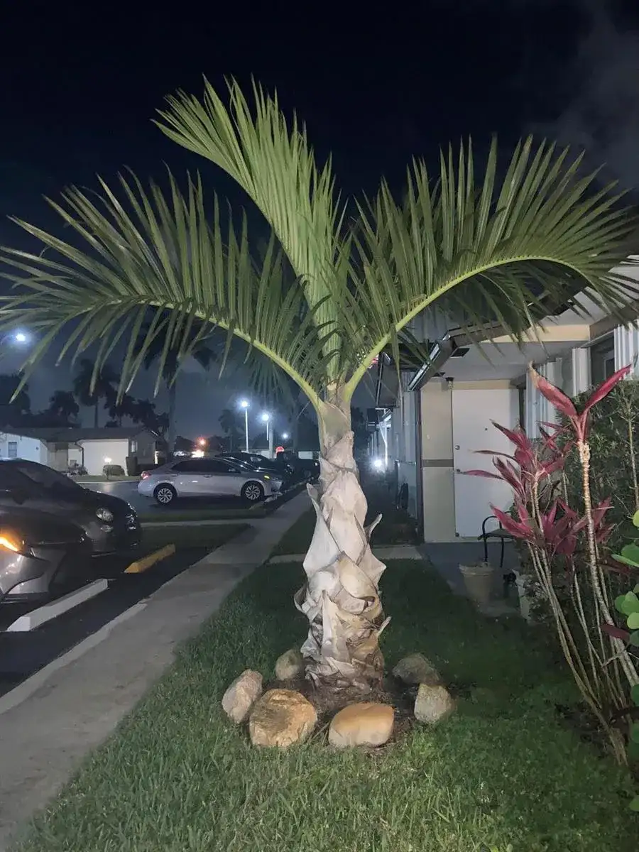 2847 Ashley Drive W # G, West Palm Beach FL 33415 photo 5