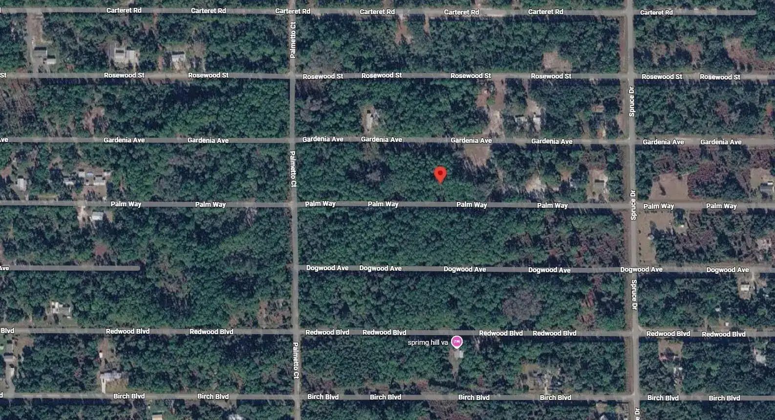 416 Palm Way, FL 32139 photo 3