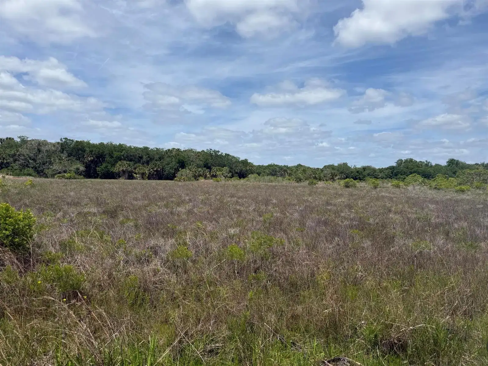 15575 NW 296th Street, Okeechobee FL 34972 photo 2