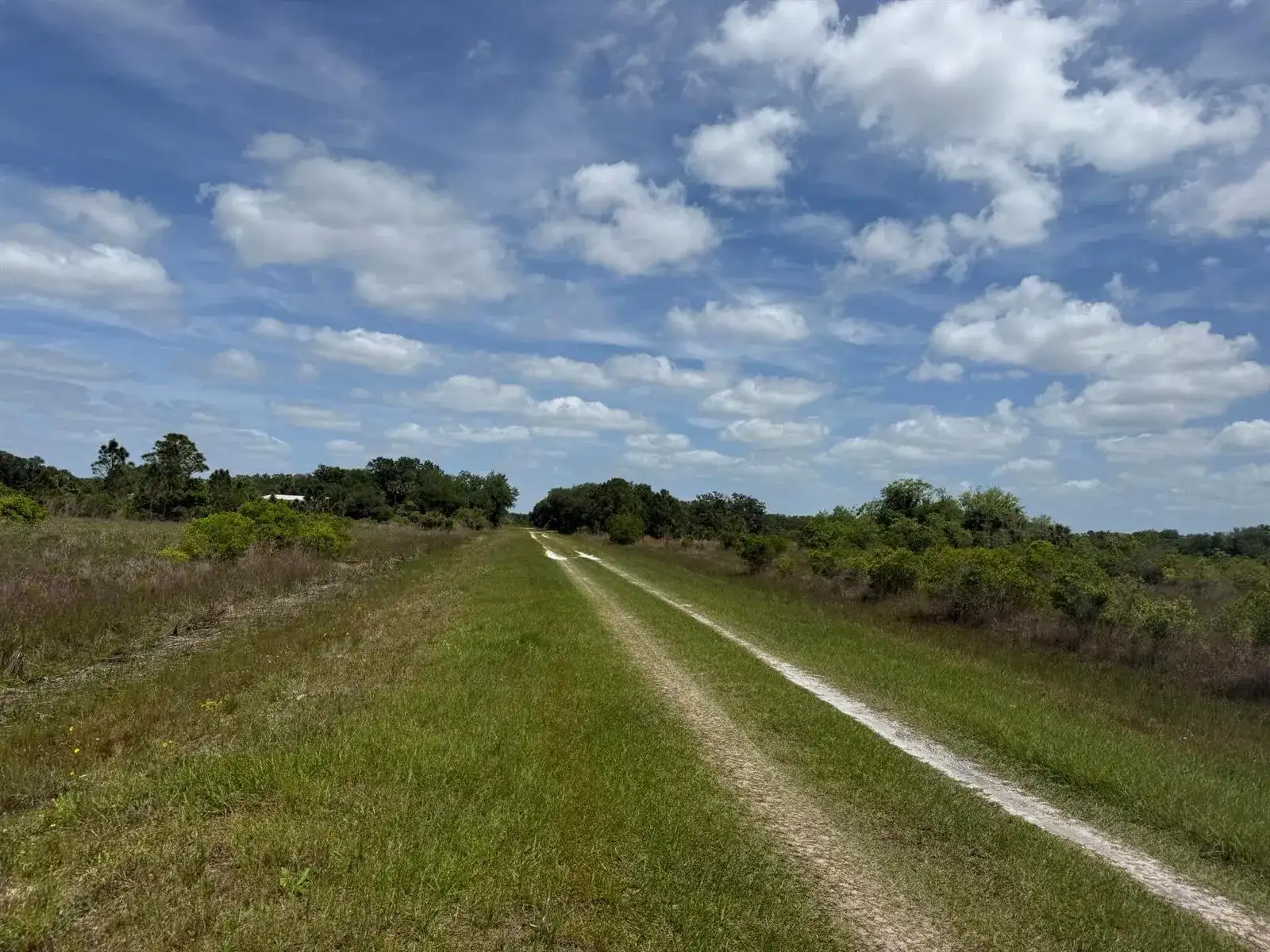 15575 NW 296th Street, Okeechobee FL 34972 photo 3