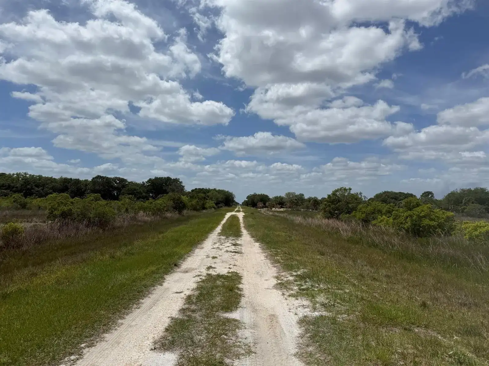 15575 NW 296th Street, Okeechobee FL 34972 photo 4