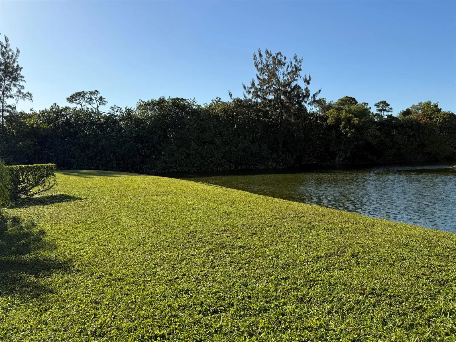 81 Camden Drive # D, West Palm Beach FL 33417