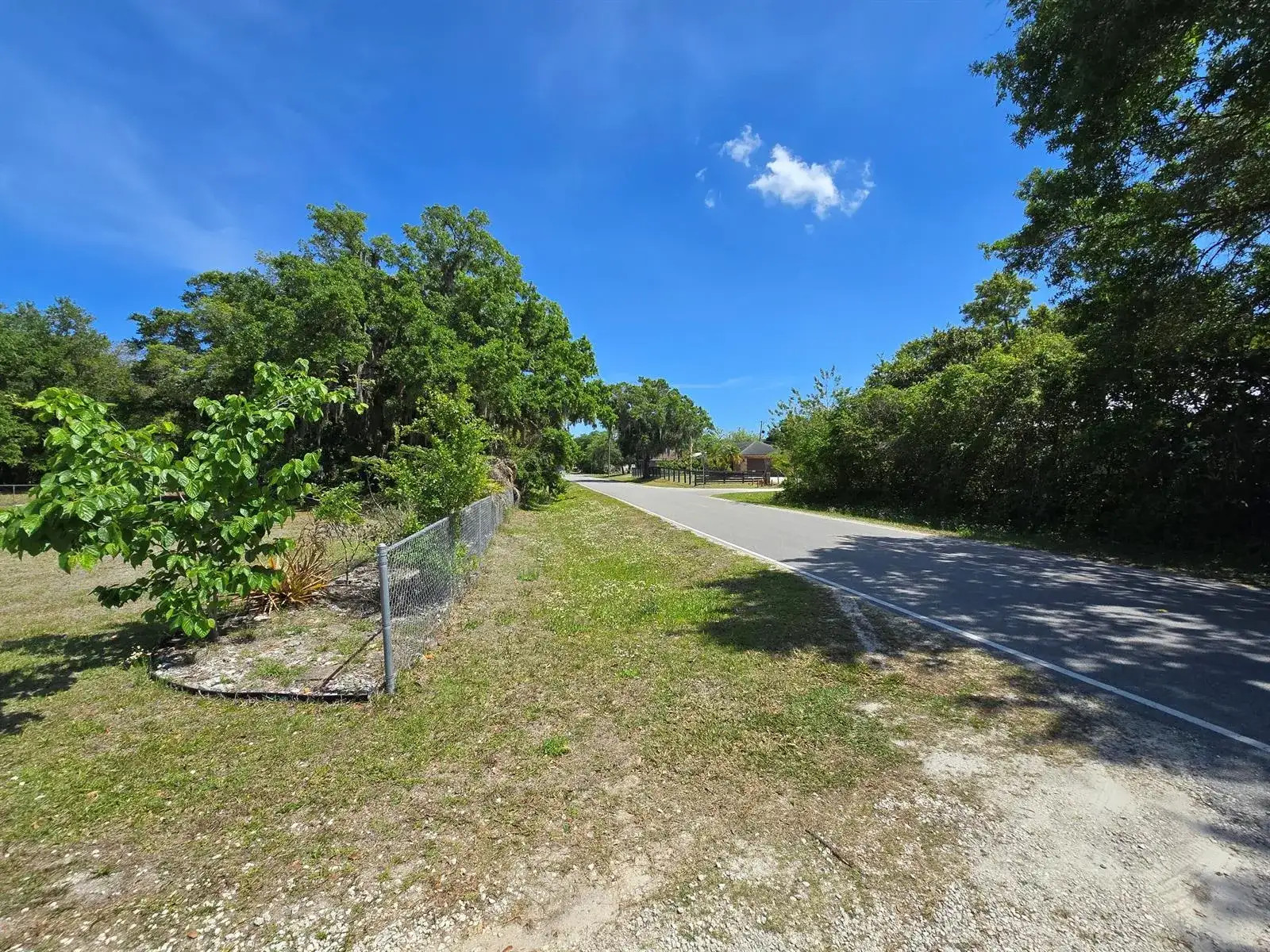 144 N Elm Street, Fellsmere FL 32948 photo 5