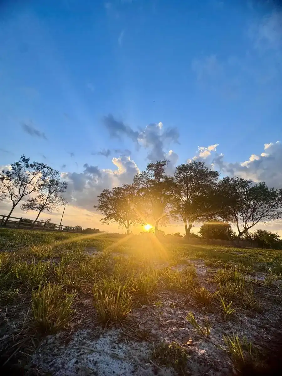 14769 NW 244th Street, Okeechobee FL 34972 photo 3